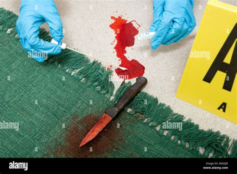 blood for testing seal broken contamination by philomist|crime scene blood collection procedure.